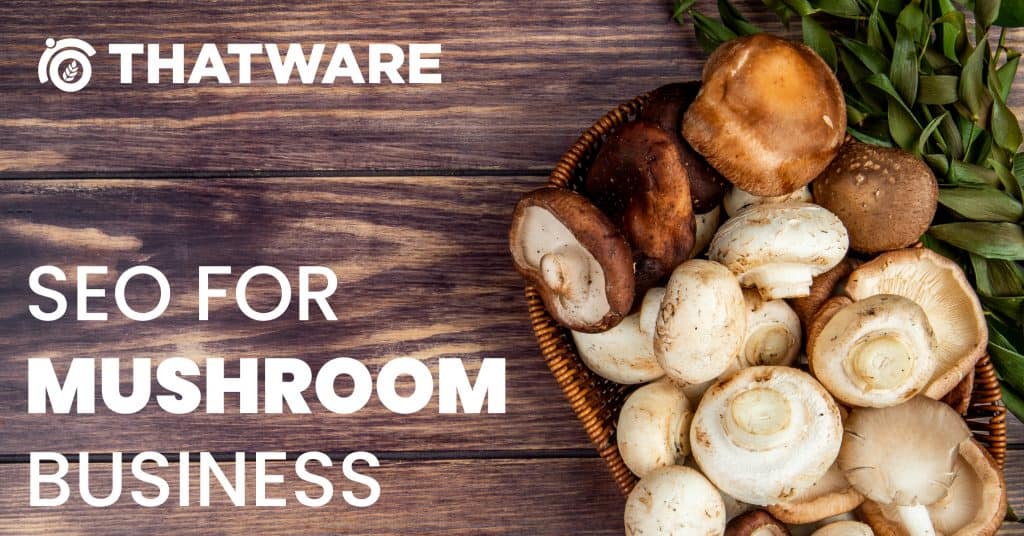 SEO for Mushrooms