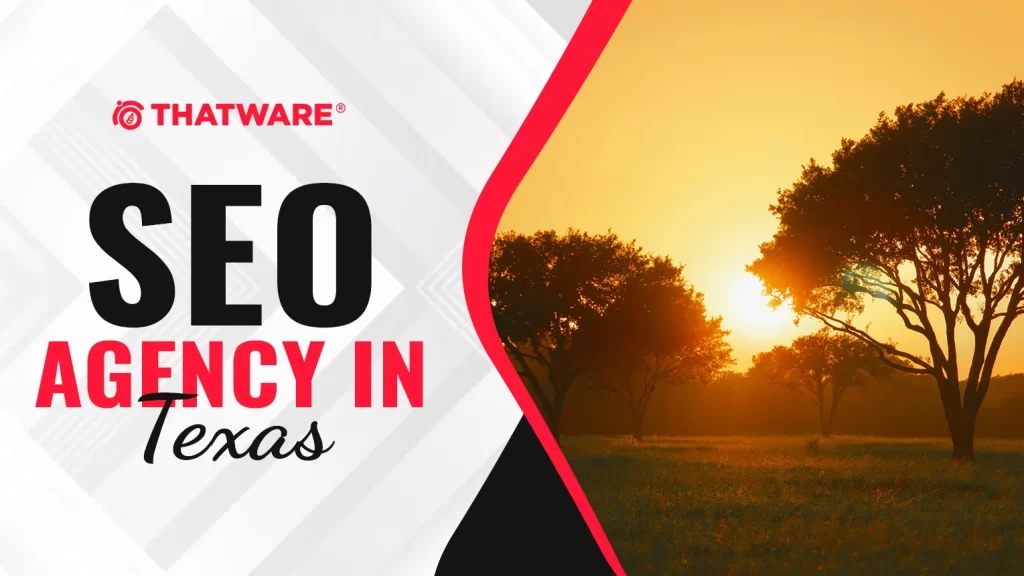 SEO Agency In TEXAS