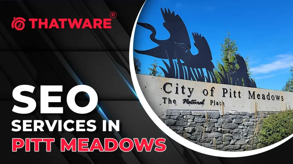 SEO Services in Pitt Meadows