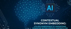 Contextual Synonym Embedding