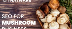 SEO for Mushrooms
