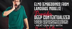 ELMo (Embeddings from Language Models)