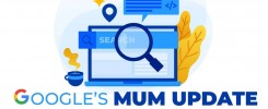 google mum update