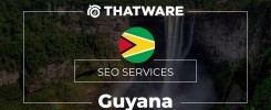 SEO Services Guyana
