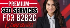 Premium SEO services for B2B2C companies