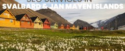 SEO Services in SVALBARD