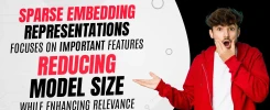 Sparse Embedding Representations