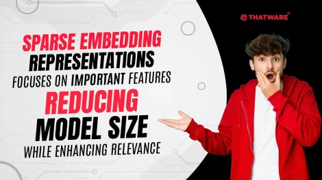 Sparse Embedding Representations
