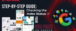 index status checks steps