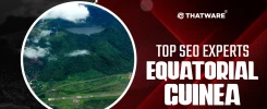Top SEO Experts Equatorial Guinea