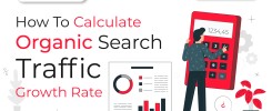 How To Calculate Organic Search Traffic Growth Rate